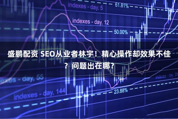 盛鹏配资 SEO从业者林宇！精心操作却效果不佳？问题出在哪？
