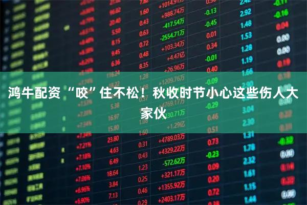 鸿牛配资 “咬”住不松！秋收时节小心这些伤人大家伙