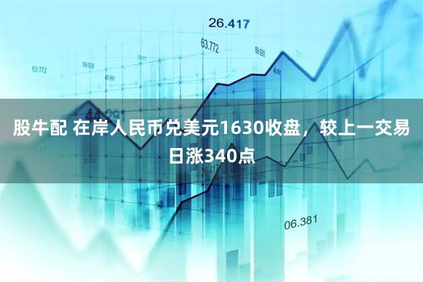 股牛配 在岸人民币兑美元1630收盘，较上一交易日涨340点