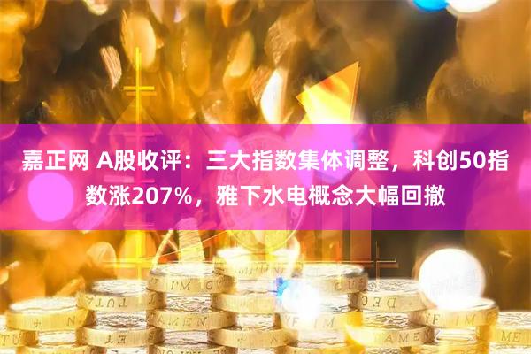 嘉正网 A股收评:三大指数集体调整,科创50指数涨207%,雅下水电概念大幅回撤